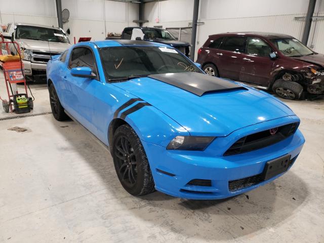 FORD MUSTANG 2011 1zvbp8am6b5101387