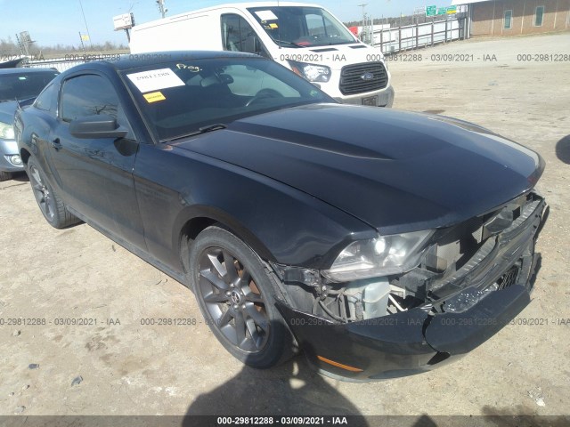 FORD MUSTANG 2011 1zvbp8am6b5101647