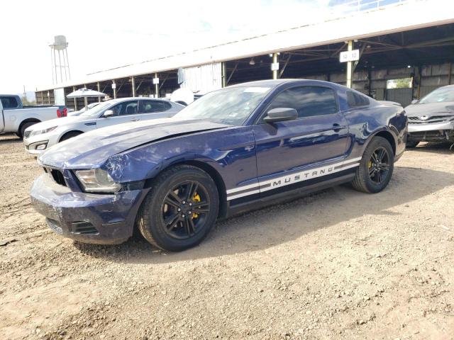 FORD MUSTANG 2011 1zvbp8am6b5103687