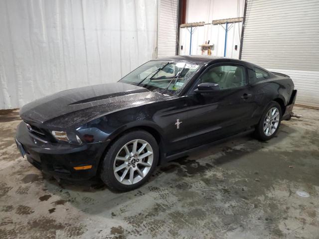 FORD MUSTANG 2011 1zvbp8am6b5105603