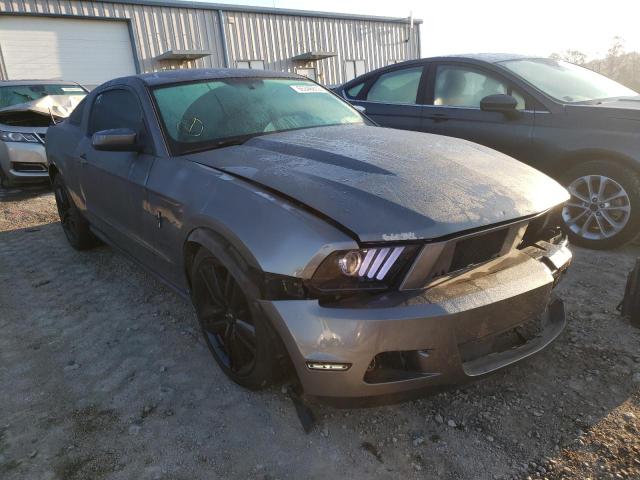 FORD MUSTANG 2011 1zvbp8am6b5107402