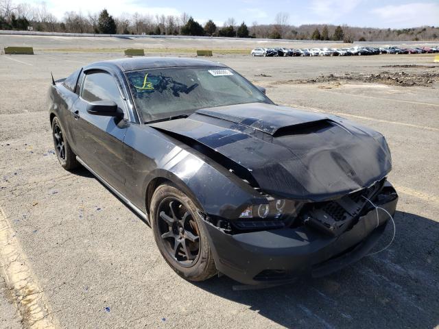 FORD MUSTANG 2011 1zvbp8am6b5108310