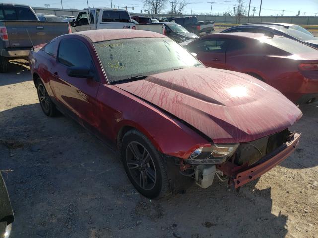 FORD MUSTANG 2011 1zvbp8am6b5109697