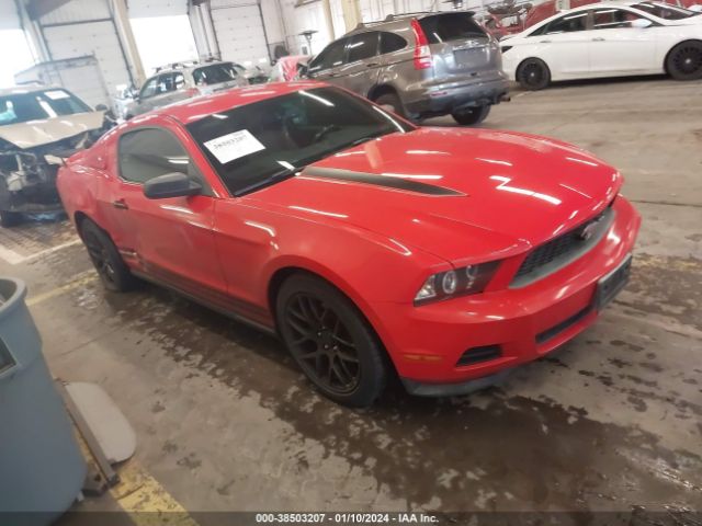 FORD MUSTANG 2011 1zvbp8am6b5109733