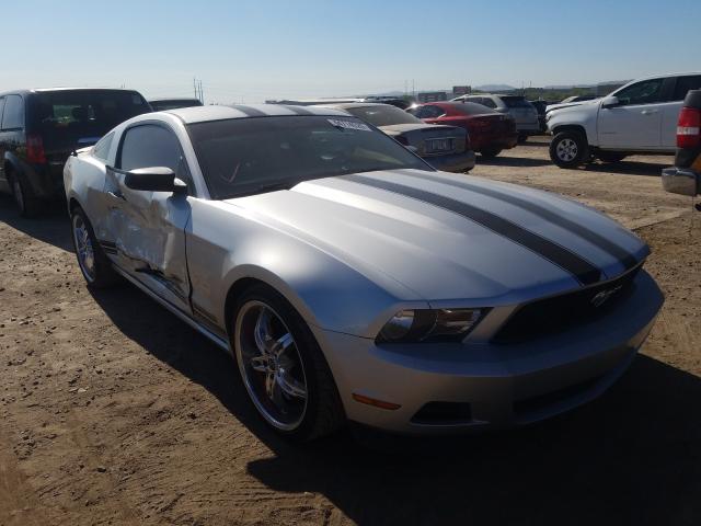 FORD MUSTANG 2011 1zvbp8am6b5111711