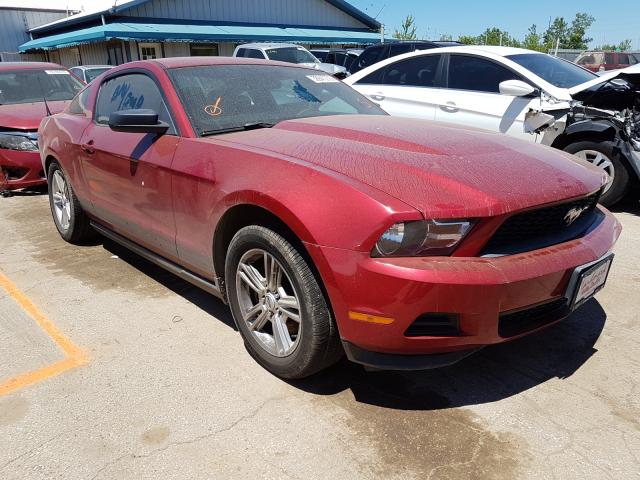 FORD MUSTANG 2011 1zvbp8am6b5125656