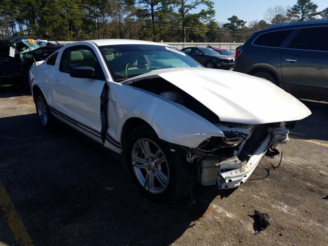 FORD MUSTANG 2011 1zvbp8am6b5135393