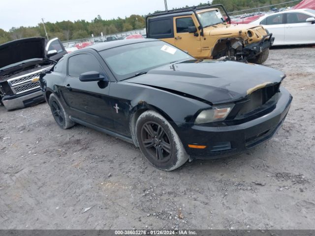 FORD MUSTANG 2011 1zvbp8am6b5140853