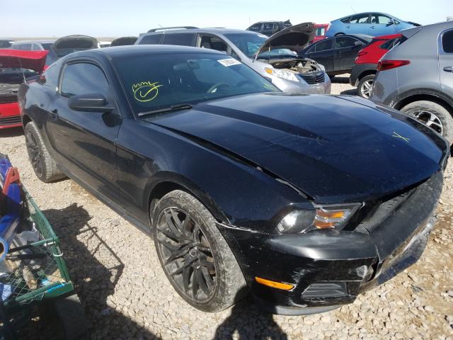 FORD MUSTANG 2011 1zvbp8am6b5150153