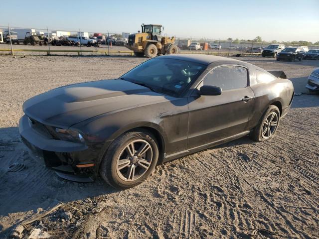 FORD MUSTANG 2011 1zvbp8am6b5150654