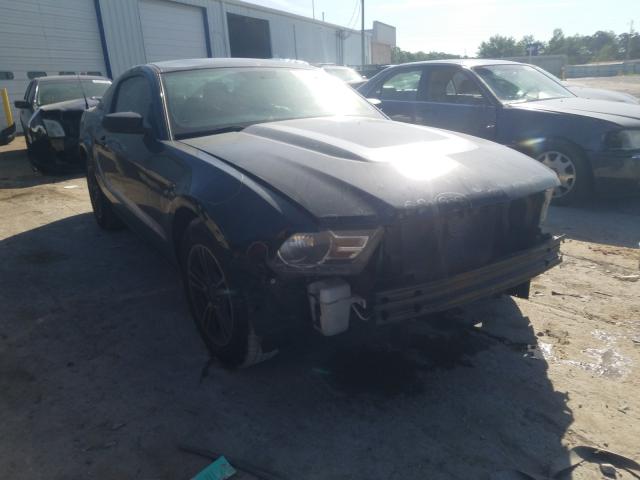 FORD MUSTANG 2011 1zvbp8am6b5151044