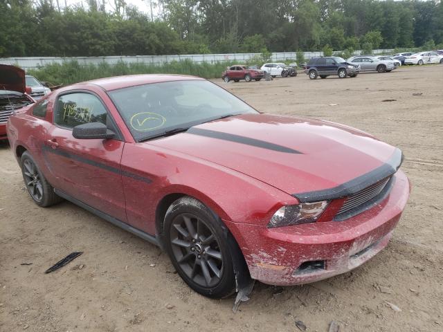 FORD MUSTANG 2011 1zvbp8am6b5151562