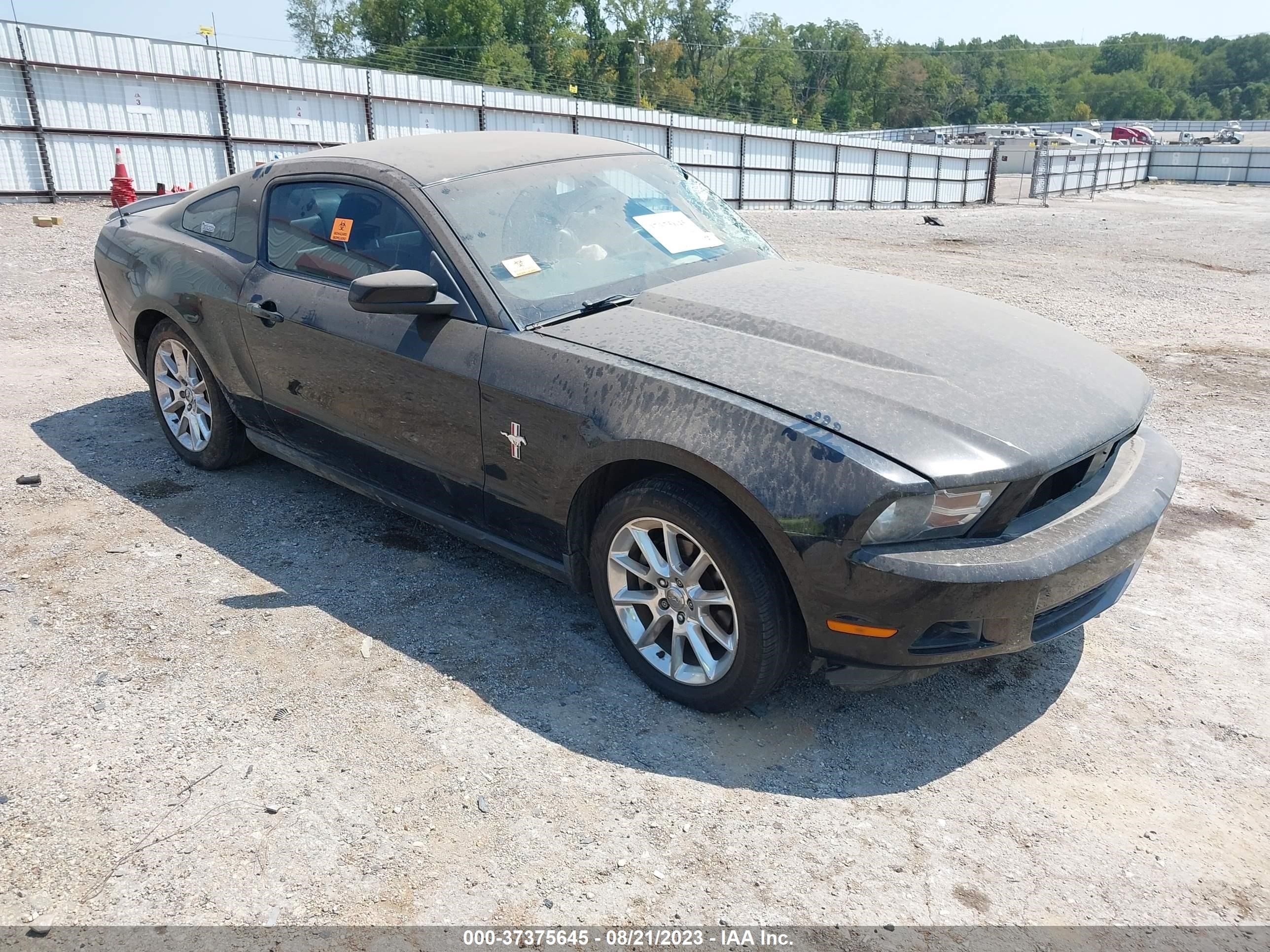 FORD MUSTANG 2011 1zvbp8am6b5152940