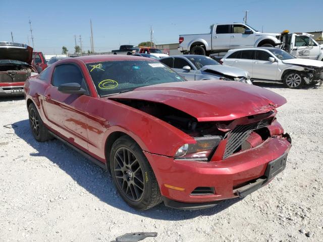 FORD MUSTANG 2011 1zvbp8am6b5153540