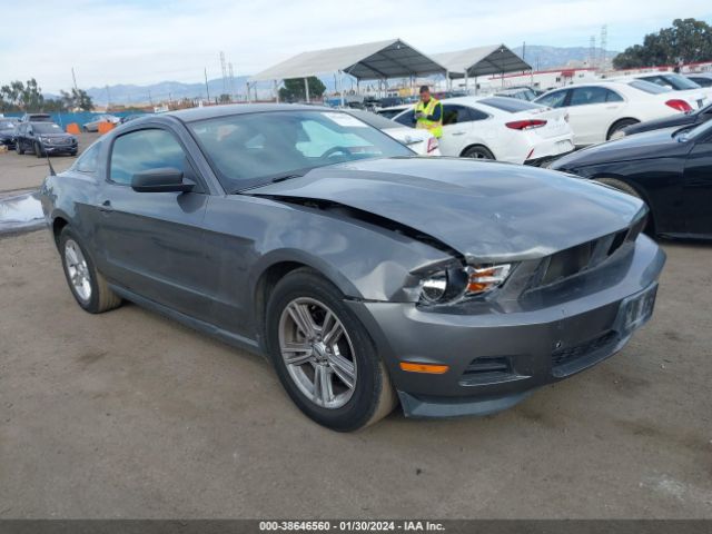 FORD MUSTANG 2011 1zvbp8am6b5156194