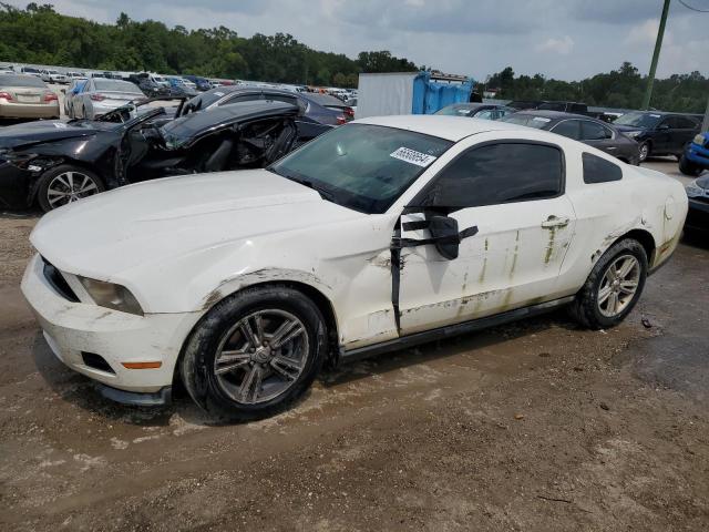 FORD MUSTANG 2011 1zvbp8am6b5158317