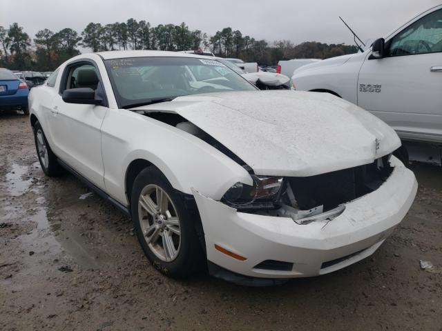 FORD MUSTANG 2011 1zvbp8am6b5162853