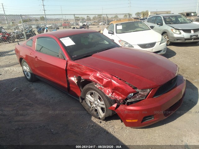 FORD MUSTANG 2011 1zvbp8am6b5165641