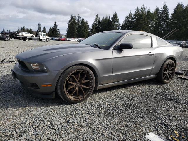 FORD MUSTANG 2011 1zvbp8am6b5165784