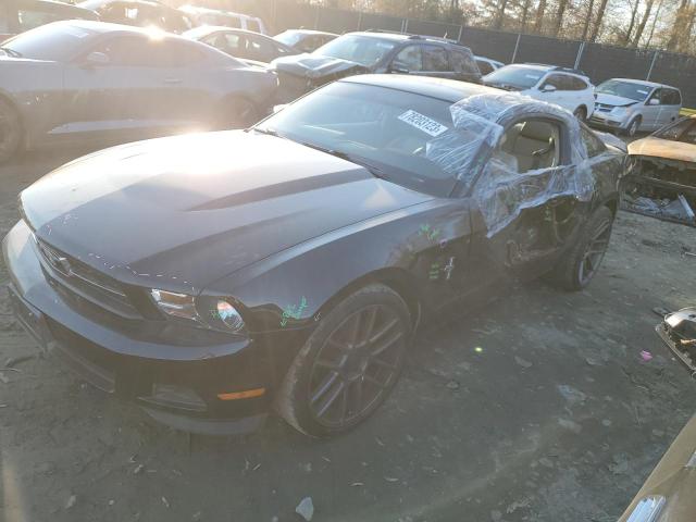 FORD MUSTANG 2011 1zvbp8am6b5168068