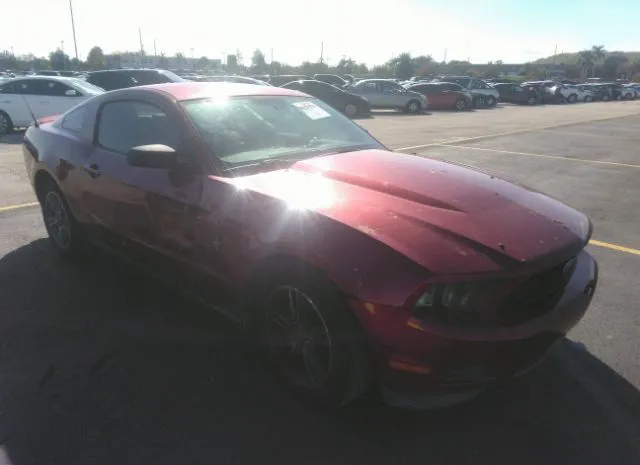 FORD MUSTANG 2012 1zvbp8am6c5205556