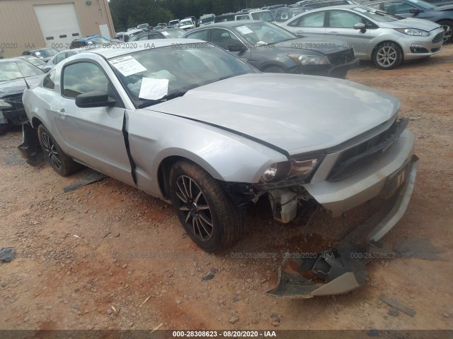 FORD MUSTANG 2012 1zvbp8am6c5206271