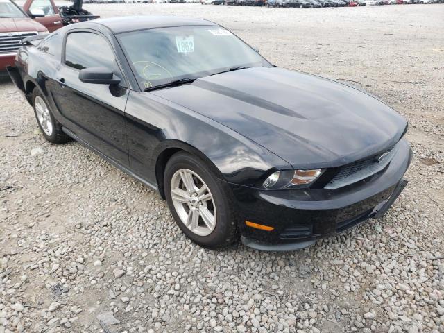 FORD MUSTANG 2012 1zvbp8am6c5221207