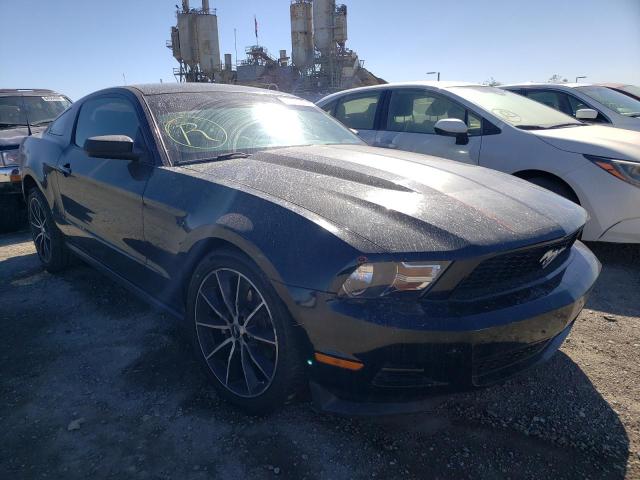 FORD MUSTANG 2012 1zvbp8am6c5251632