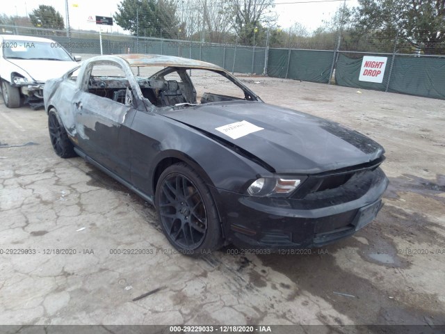 FORD MUSTANG 2012 1zvbp8am6c5251890