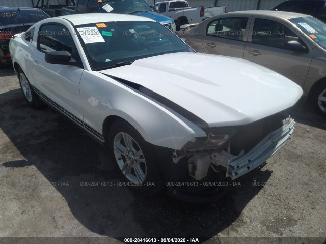 FORD MUSTANG 2012 1zvbp8am6c5252781