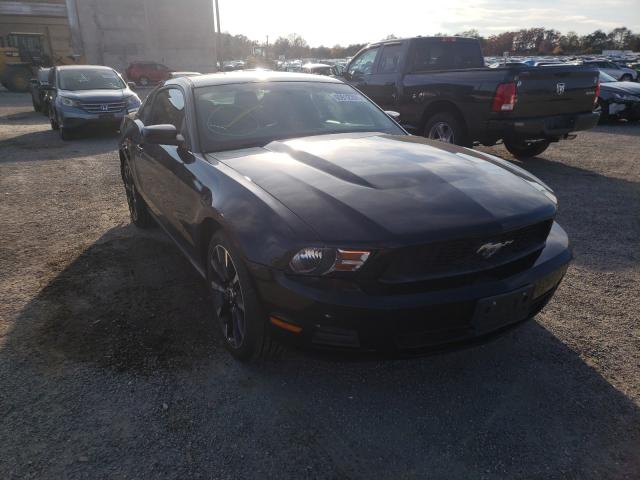 FORD MUSTANG 2012 1zvbp8am6c5261657