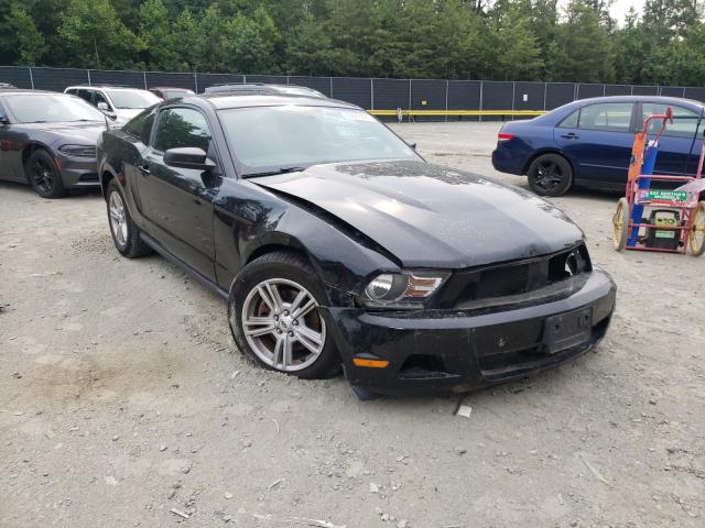 FORD MUSTANG 2012 1zvbp8am6c5284341