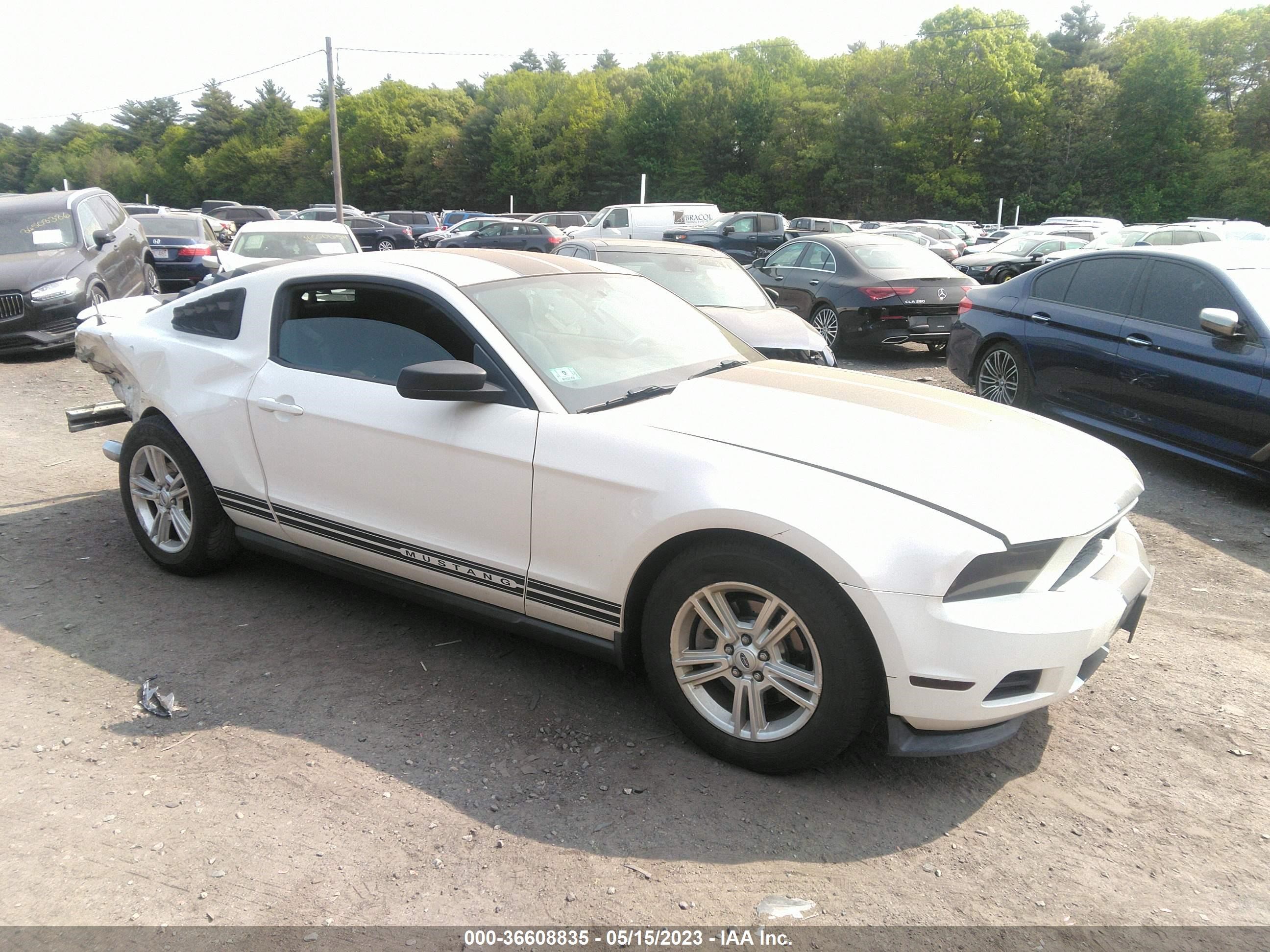 FORD MUSTANG 2012 1zvbp8am6c5287899