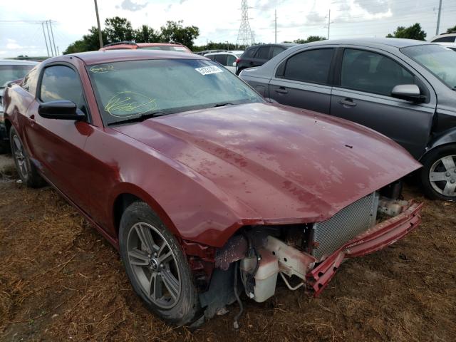 FORD MUSTANG 2013 1zvbp8am6d5217353