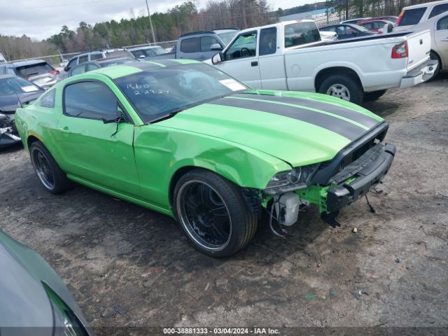 FORD MUSTANG 2013 1zvbp8am6d5223119