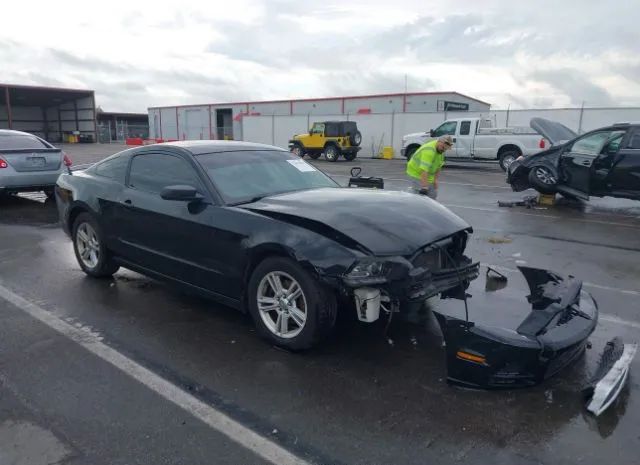 FORD MUSTANG 2013 1zvbp8am6d5226425