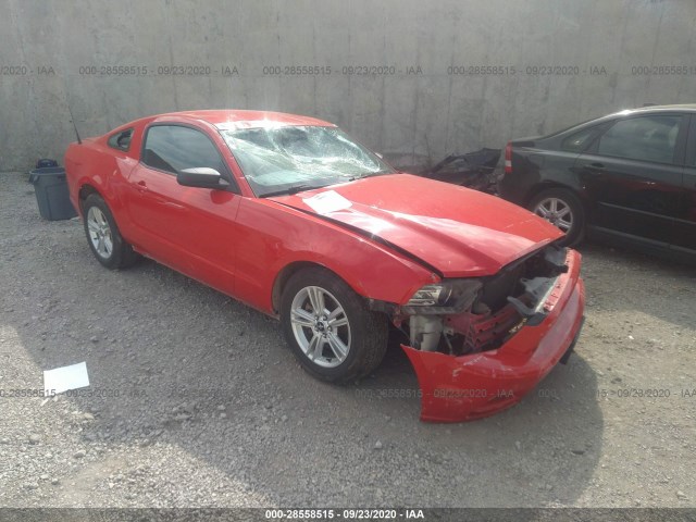 FORD MUSTANG 2013 1zvbp8am6d5236128