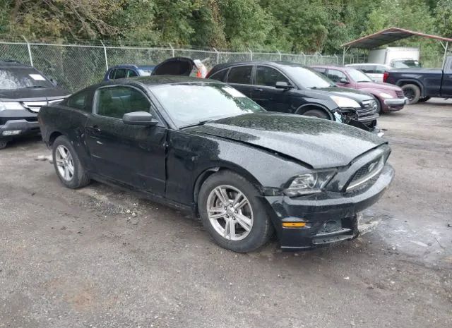 FORD MUSTANG 2013 1zvbp8am6d5238588