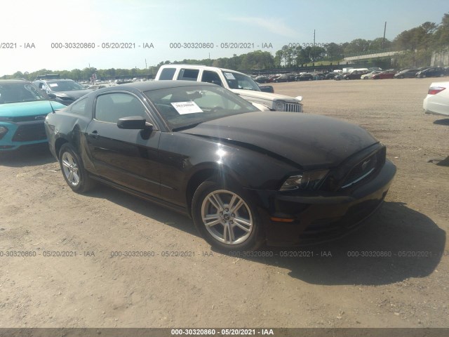 FORD MUSTANG 2013 1zvbp8am6d5250479