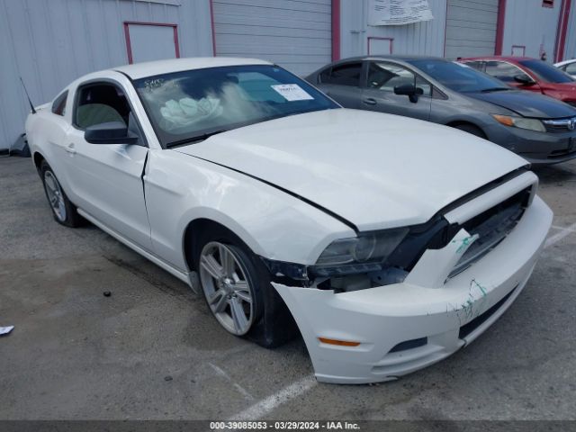 FORD MUSTANG 2013 1zvbp8am6d5252913