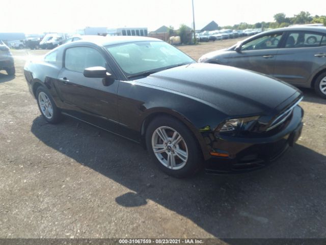 FORD MUSTANG 2013 1zvbp8am6d5257920