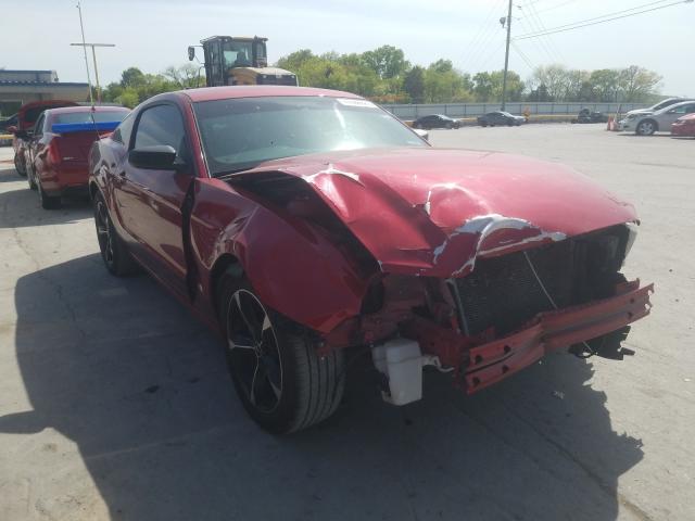 FORD MUSTANG 2013 1zvbp8am6d5262082