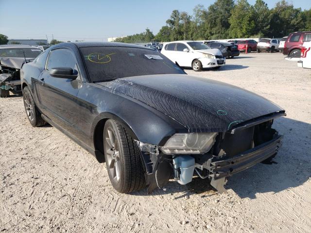 FORD MUSTANG 2013 1zvbp8am6d5262194