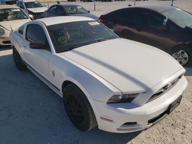 FORD MUSTANG 2013 1zvbp8am6d5266651