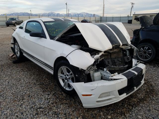 FORD MUSTANG 2013 1zvbp8am6d5269520