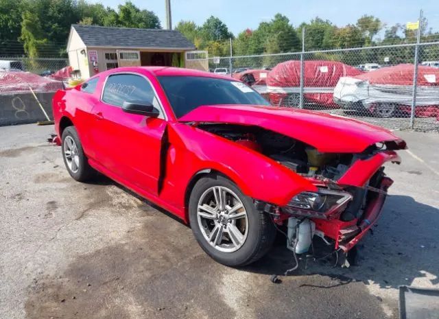 FORD MUSTANG 2013 1zvbp8am6d5271932