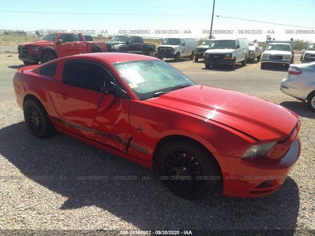 FORD MUSTANG 2013 1zvbp8am6d5275009