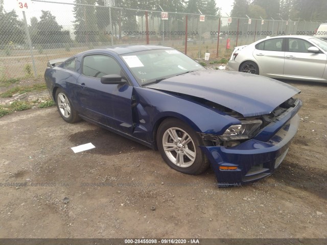 FORD MUSTANG 2013 1zvbp8am6d5278962