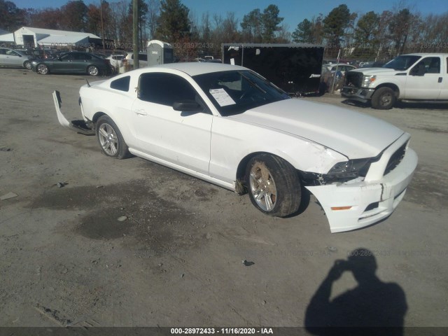 FORD MUSTANG 2013 1zvbp8am6d5281361