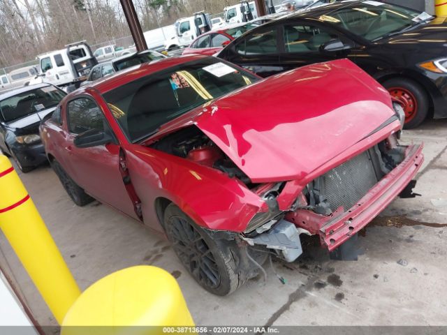 FORD MUSTANG 2013 1zvbp8am6d5283661